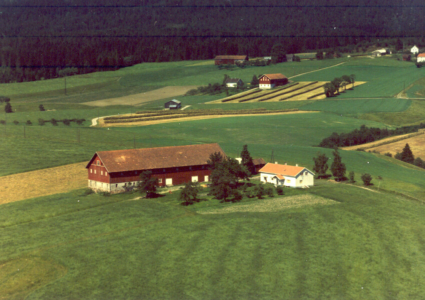 Horgen Trevarefabrikk